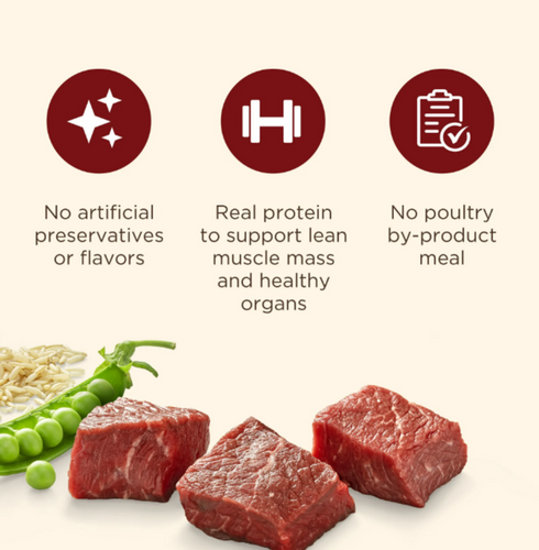 Rachael Ray Nutrish Natural Beef, Pea, & Brown Rice Recipe Dry Dog Food