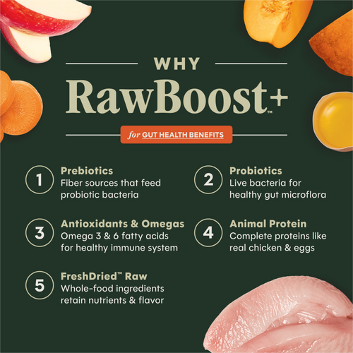 Instinct Raw Boost Grain Free Gut Health Recipe with Real Chicken Dry Dog Food