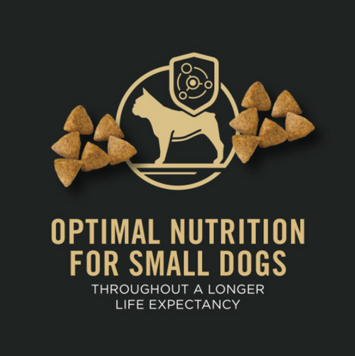 ProPlan Chicken and Rice Small Breed Dry Dog Food