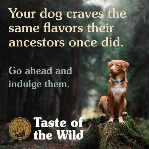 Taste of the Wild Ancient Stream with Ancient Grains Dry Dog Food