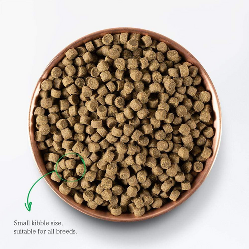 Open Farm Harvest Chicken and Ancient Grains Dry Dog Food