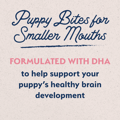 Natural Balance Limited Ingredient Puppy Dry Dog Food, Salmon & Brown Rice Recipe