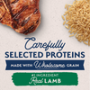 Natural Balance Limited Ingredient Dry Dog Food, Lamb & Brown Rice Recipe