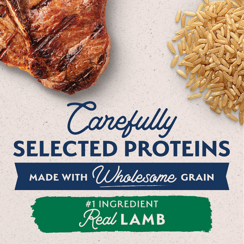 Natural Balance Limited Ingredient Dry Dog Food, Lamb & Brown Rice Recipe