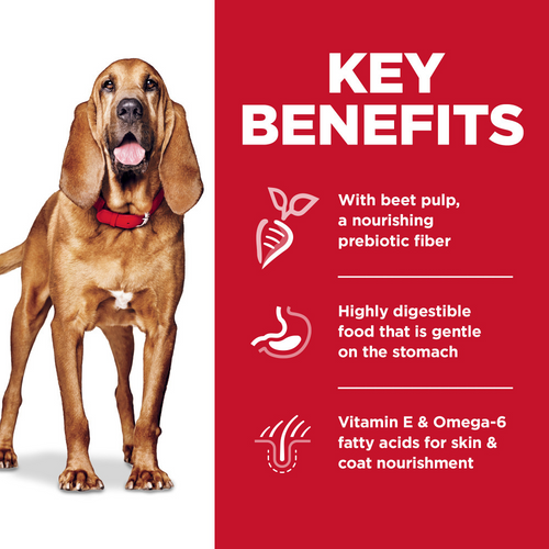 Hill's Science Diet Sensitive Stomach & Skin LG Breed Adult Chicken & Barley Recipe Dry Dog Food