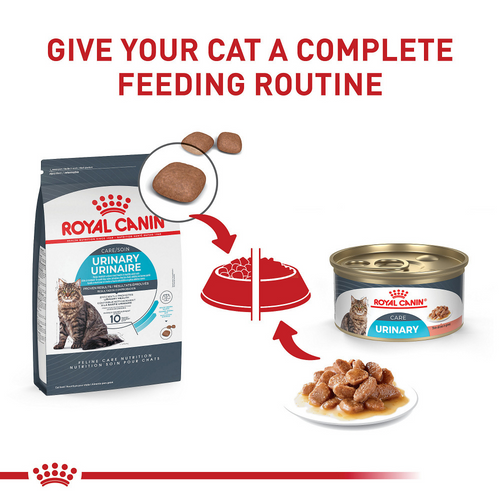 Royal Canin Feline Care Nutrition Urinary Care Dry Cat Food