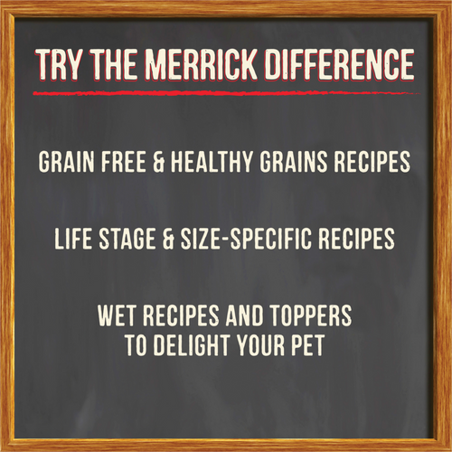 Merrick Grain Free Chicken Bone Broth Wet Dog Food Topper