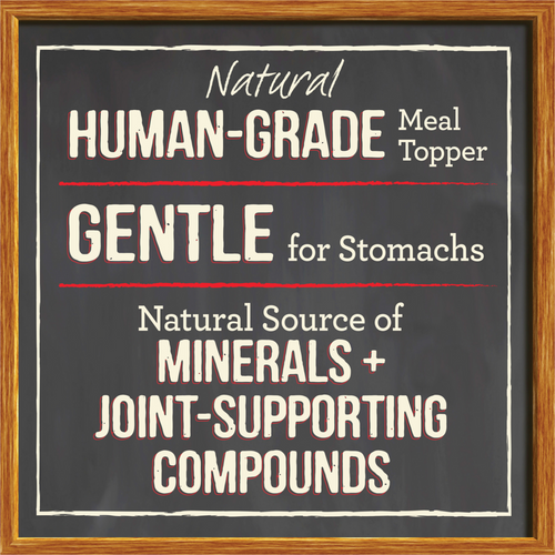 Merrick Grain Free Turkey Bone Broth Wet Dog Food Topper