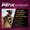 Eukanuba Premium Performance 30/20 Sport Adult Dry Dog Food