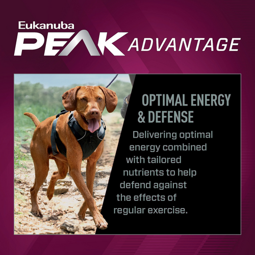 Eukanuba Premium Performance 26/16 Exercise Dry Dog Food