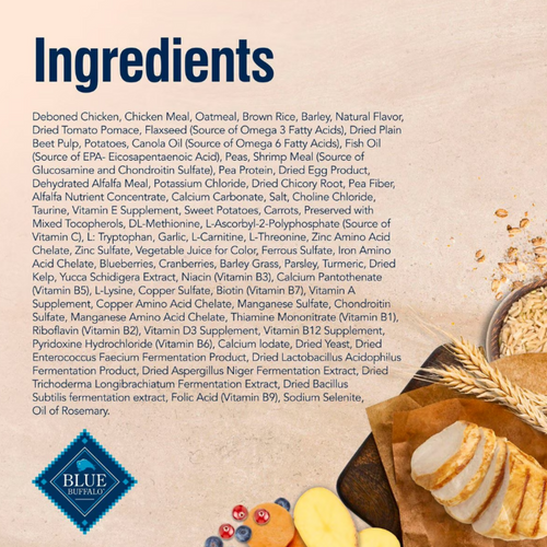 Blue Buffalo True Solutions Mobility Support Formula Chicken Recipe Adult Dry Dog Food