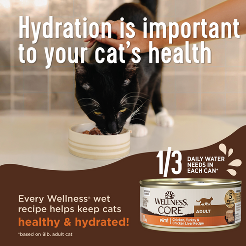 Wellness Core Digestive Health Turkey Pate Recipe Canned Cat Food