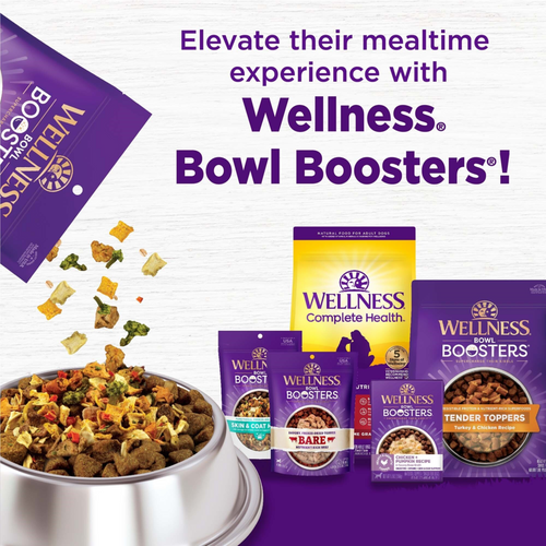 Wellness CORE Bowl Boosters Joint Health Dry Dog Food Topper