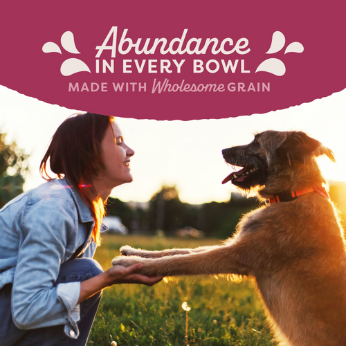 Natural Balance Original Ultra Fat Dogs Wet Dog Food, Chicken & Salmon Recipe in Broth