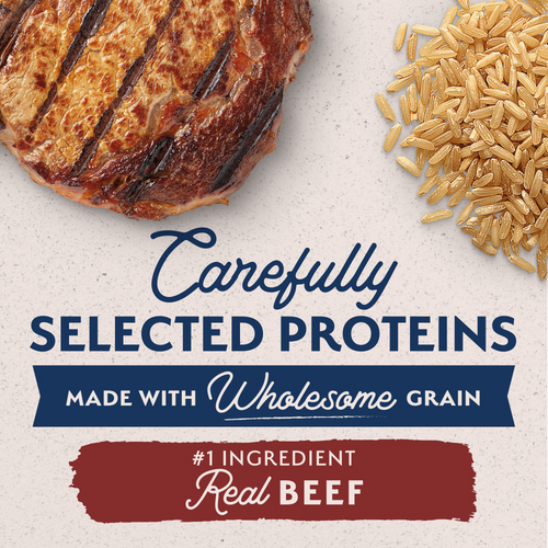 Natural Balance Limited Ingredient Dry Dog Food, Beef & Brown Rice Recipe