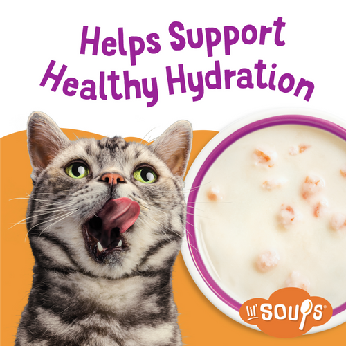 Friskies Lil' Soups Grain Free Shrimp in Chicken Broth Wet Cat Food