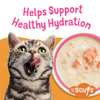Friskies Lil' Soups Grain Free Sockeye Salmon in Chicken Broth Wet Cat Food
