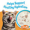 Friskies Lil' Soups Grain Free Tuna in Chicken Broth Wet Cat Food