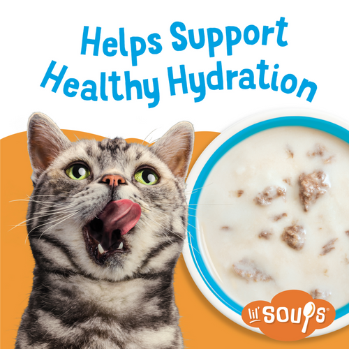 Friskies Lil' Soups Grain Free Tuna in Chicken Broth Wet Cat Food