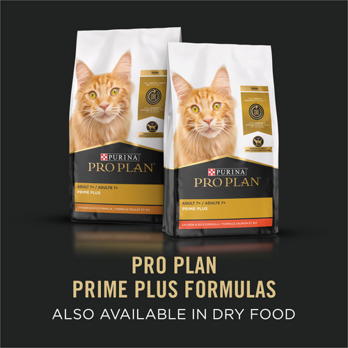 ProPlan Grain Free Prime + Seafood Favorites Variety Pack Senior 7+ Wet Cat Food