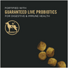 ProPlan Chicken and Rice Toy Breed Dry Dog Food