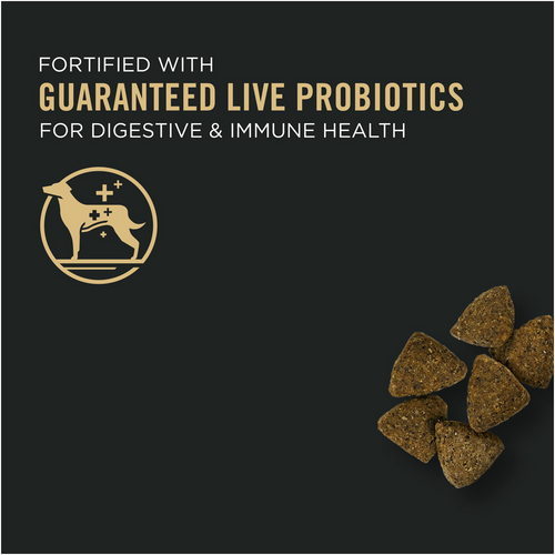ProPlan Sensitive Skin & Stomach Turkey and Oatmeal Dry Dog Food
