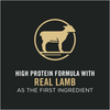 Purina Pro Plan High Protein Sensitive Skin & Stomach Lamb & Rice Formula Dry Cat Food