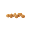 ProPlan Sensitive Skin & Stomach Lamb and Rice Dry Cat Food