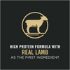 ProPlan Sensitive Skin & Stomach Lamb and Rice Dry Cat Food