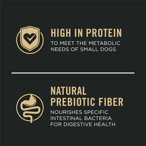 ProPlan Sensitive Skin & Stomach Salmon and Rice Small Breed Dry Dog Food