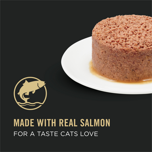 ProPlan Complete Essentials Pate Salmon and Brown Rice Wet Cat Food
