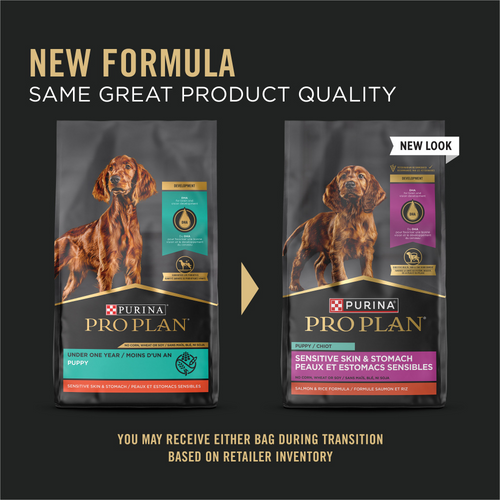 ProPlan Sensitive Skin & Stomach Salmon and Rice Dry Puppy Food