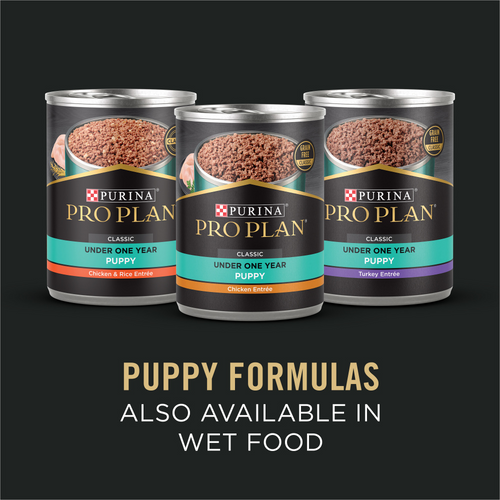 ProPlan Sensitive Skin & Stomach Salmon and Rice Dry Puppy Food