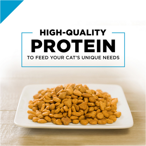 Purina Pro Plan Focus Probiotics Sensitive Skin & Stomach Turkey & Oat Meal Natural Dry Cat Food