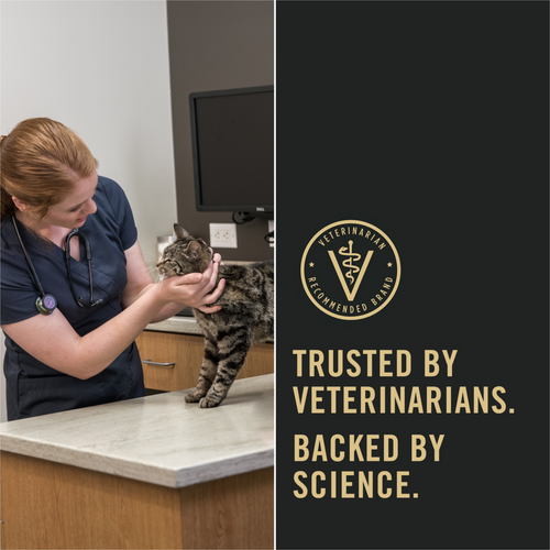 Purina Pro Plan Probiotics Sensitive Skin & Stomach Turkey & Oat Meal Natural Dry Cat Food