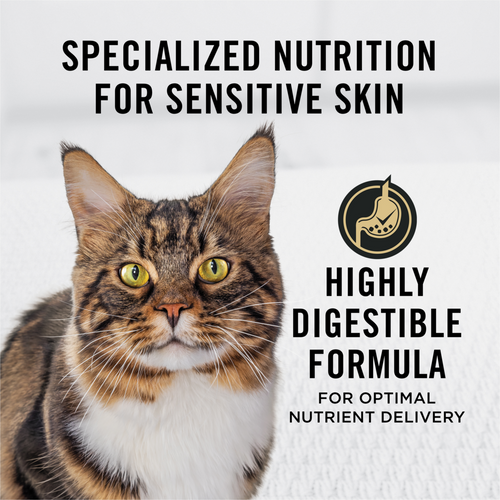 ProPlan Sensitive Skin & Stomach Turkey and Oatmeal Dry Cat Food