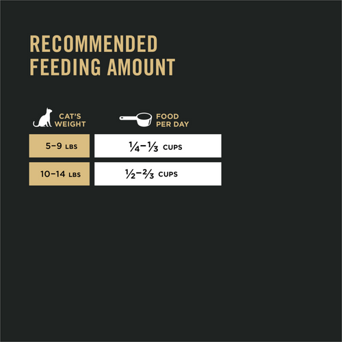Purina Pro Plan Prime Plus Chicken & Rice Formula Senior Dry Cat Food