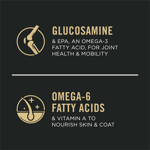 Purina Pro Plan Bright Mind 7 plus Chicken & Rice Formula Dry Dog Food