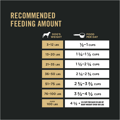 ProPlan Complete Essentials Shredded Blend Chicken and Rice Senior 7+ Dry Dog Food