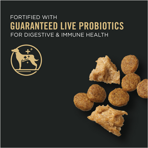 ProPlan Shredded Blend Weight Management Chicken and Rice Small Breed Dry Dog Food