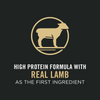 ProPlan Sensitive Skin & Stomach Lamb & Oatmeal Dry Puppy Food
