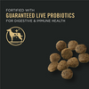 ProPlan Sensitive Skin & Stomach Lamb & Oatmeal Dry Puppy Food