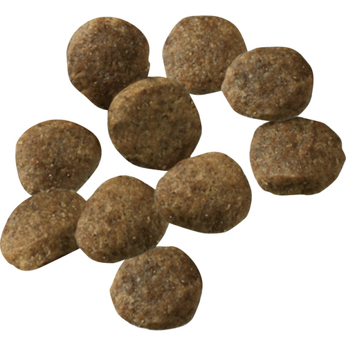 ProPlan Sensitive Skin & Stomach Lamb & Oatmeal Dry Puppy Food