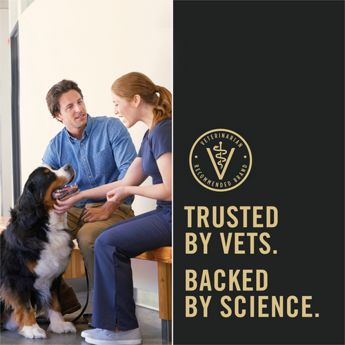 Purina Pro Plan Shredded Blend Chicken & Rice Formula With Probiotics Weight Management Dry Dog Food