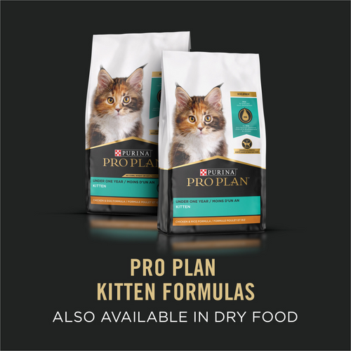 ProPlan Classic Grain Free Salmon and Tuna Wet Kitten Food