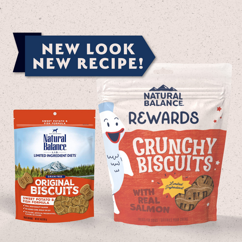 Natural Balance Rewards Crunchy Biscuits Dog Treats for Small Breeds with Real Salmon