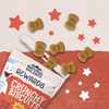 Natural Balance Rewards Crunchy Biscuits Dog Treats for Small Breeds with Real Salmon