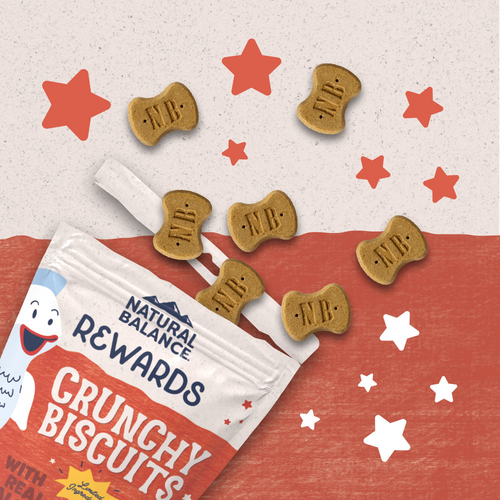 Natural Balance Rewards Crunchy Biscuits Dog Treats for Small Breeds with Real Salmon