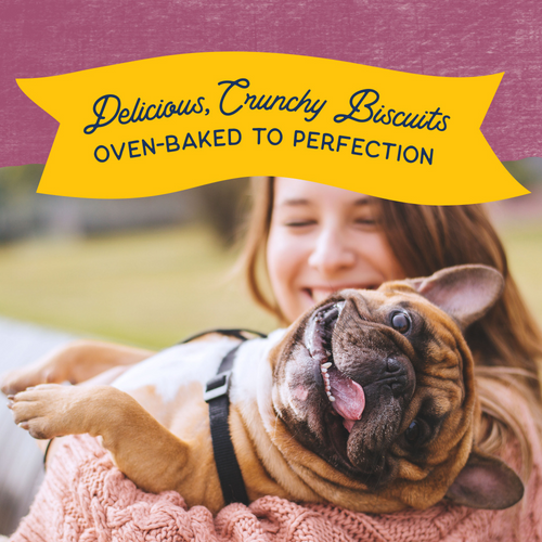 Natural Balance Rewards Crunchy Biscuits Dog Treats for Small Breeds with Real Venison