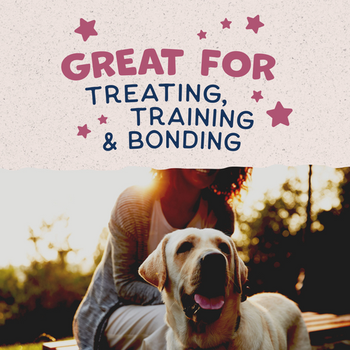 Natural Balance Rewards Crunchy Biscuits Dog Treats for Small Breeds with Real Venison